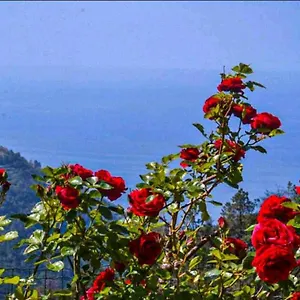 Ca Du Bene , Vernazza Italia